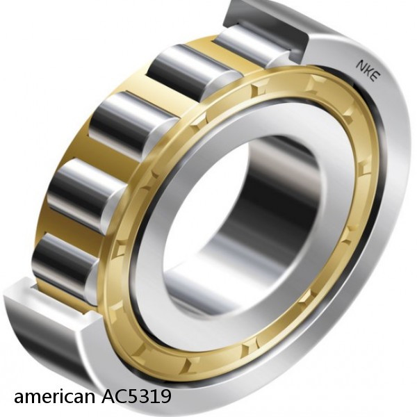 american AC5319 SINGLE ROW CYLINDRICAL ROLLER BEARING