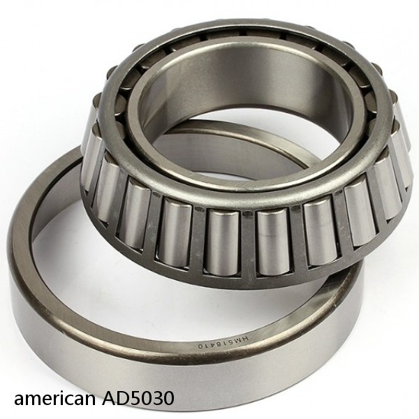 american AD5030 SINGLE ROW CYLINDRICAL ROLLER BEARING