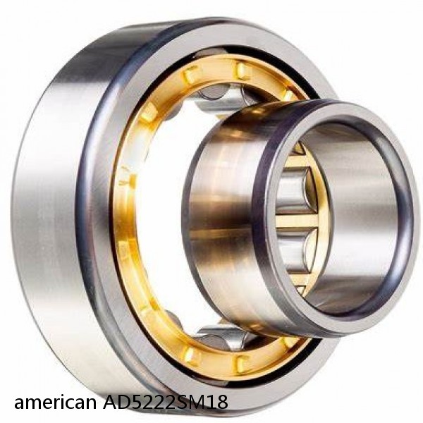 american AD5222SM18 SINGLE ROW CYLINDRICAL ROLLER BEARING