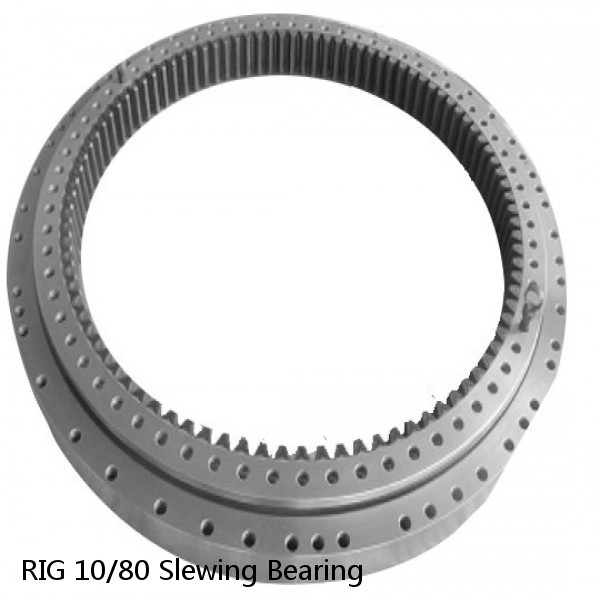 RIG 10/80 Slewing Bearing