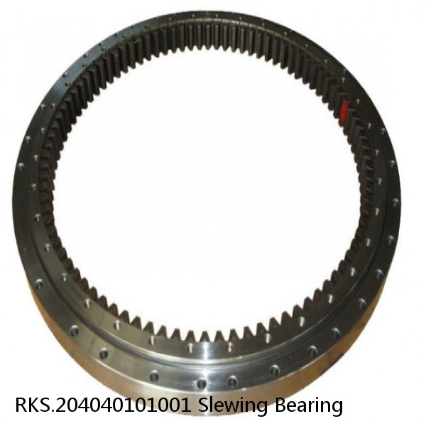 RKS.204040101001 Slewing Bearing