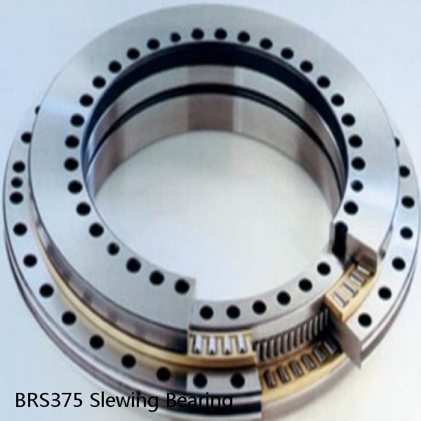 BRS375 Slewing Bearing