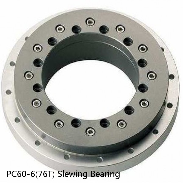PC60-6(76T) Slewing Bearing