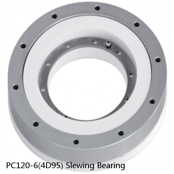 PC120-6(4D95) Slewing Bearing