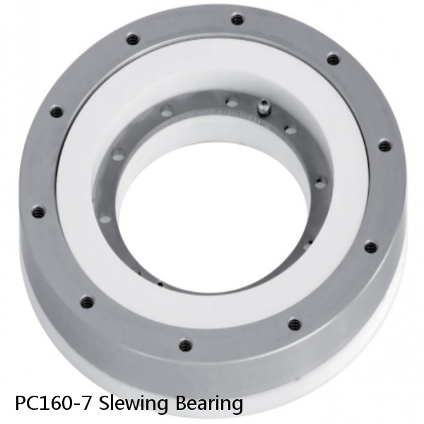 PC160-7 Slewing Bearing