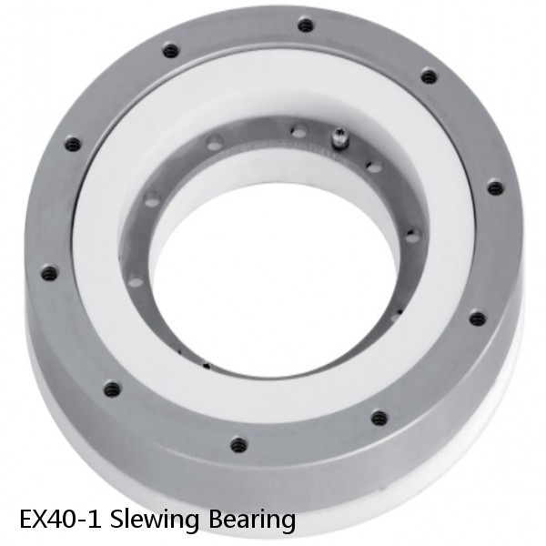 EX40-1 Slewing Bearing