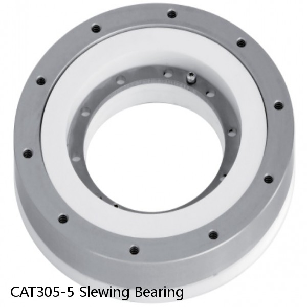 CAT305-5 Slewing Bearing