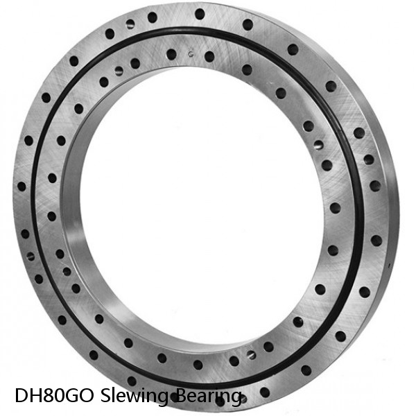 DH80GO Slewing Bearing
