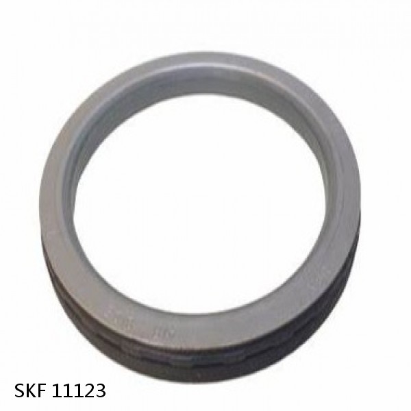 11123 SKF SKF INDUSTRIAL SEALS