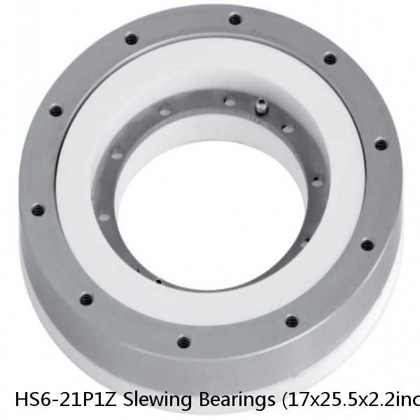 HS6-21P1Z Slewing Bearings (17x25.5x2.2inch) Without Gear