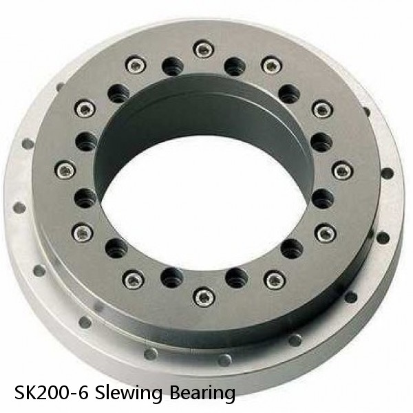 SK200-6 Slewing Bearing