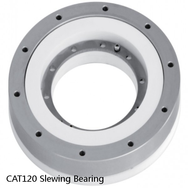 CAT120 Slewing Bearing