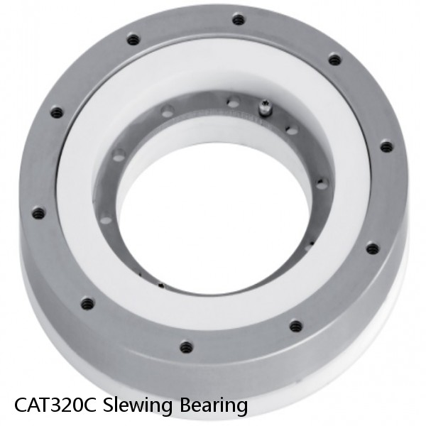 CAT320C Slewing Bearing