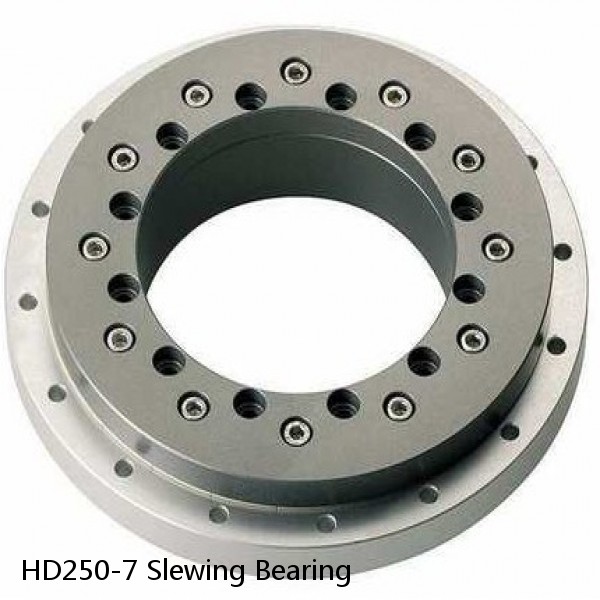 HD250-7 Slewing Bearing